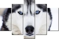 100CM 150CM OBRAZ 5 ELEM HUSKY ŚCIENNY