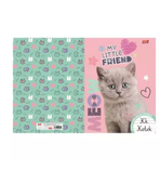 ZESZYT A4 32 =KOLOR DO NAUKI PISANIA MY LITTLE FRIND ST.MAJEWSKI