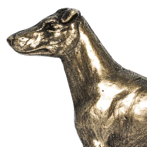 Foksterier - tabliczka - 1685 na Arena.pl