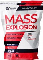 IMMORTAL WHEY MASS GAIN EXPLOSION 1000 g GAINER WĘGLE MASA MIEŚNIE SIŁA 1kg
