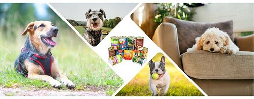 Karma mokra dla psa Puszka Duży Pakiet Mieszany Mix smaków 20 szt x 400g na Arena.pl