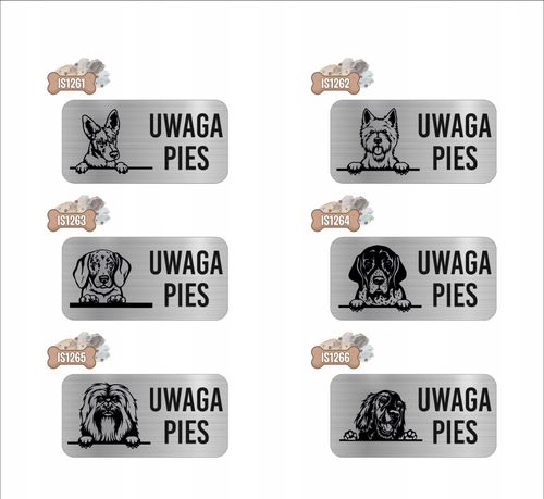 GRAWER Tabliczka nierdzewna laminat 20x10 UWAGA PIES Seter irlandzki na Arena.pl