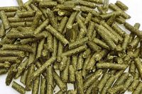 Trawokulki susz z traw 25KG trawa granulowana dla koni