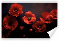 Fototapeta PREMIUM STRUKTURA ZMYWALANA NA WYMIAR piękny wzór kwiatowy maki