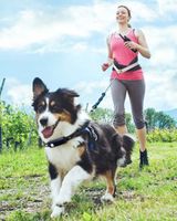 Elektryczna Obroża dla Psa Treningowa Wodoszczelna 1000m