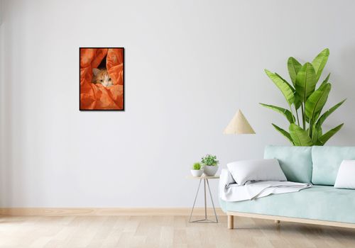 Plakat 42x59,4cm Ukryty Kot na Arena.pl