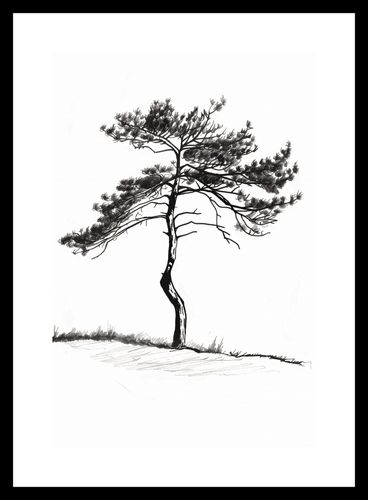 Plakat 20x30cm Samotna Sosna na Arena.pl