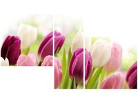 90X50CM SOCZYSTE TULIPANY TRÓJ OBRAZ ŚCIANY