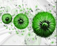 40CM 50CM OBRAZEK ŚCIENNY ZIELONE DMUCHAWCE 5 DRUK PŁÓTNO OBRAZ