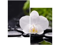 product-compare-58647503