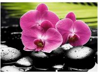 50X70CM STORCZYKI KAMIENIACH OBRAZ POKOJU DREWNINE