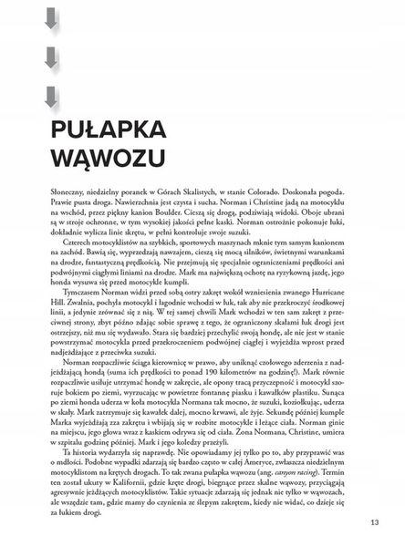 Motocyklista doskonały David L. Hough zdjęcie 8