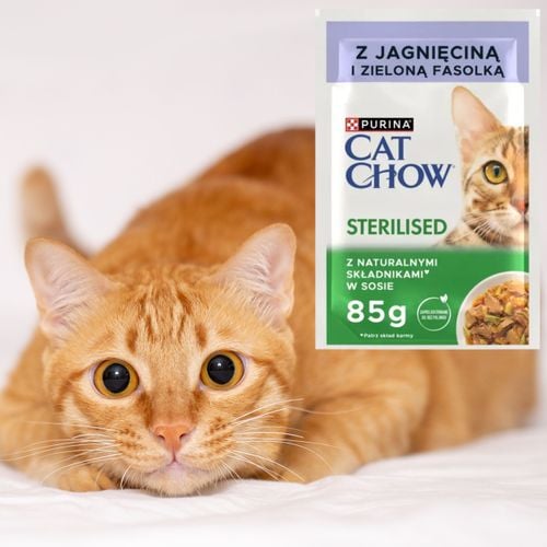 karma mokra dla kotów sterylizowanych cat chow jagnięcina z fasolą 85 g na Arena.pl