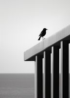 product-compare-59366571