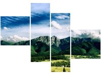 product-compare-58675816