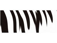 100X40CM POPASKOWANE OBRAZ DREWNO