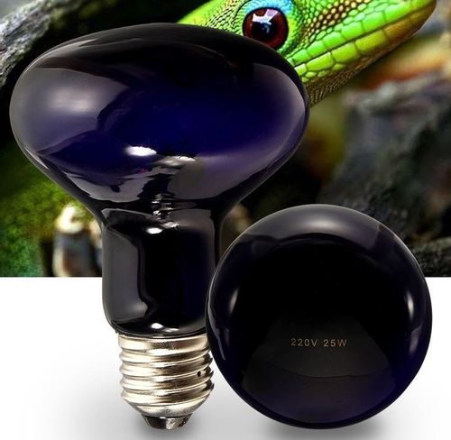 Super Reptile Black Moonlight 50W na Arena.pl