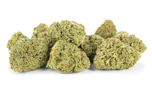 CBD SUSZ KONOPNY | AMNESIA HAZE PREMIUM 30g na Arena.pl