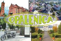 Opalenica – magnes