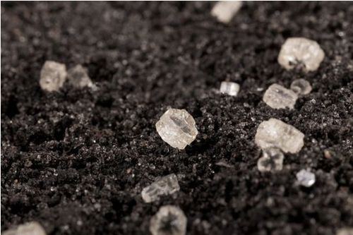 Nawóz siarczan amonu 5kg na Arena.pl