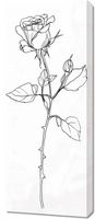 Obraz 40x100cm Kontur Róży