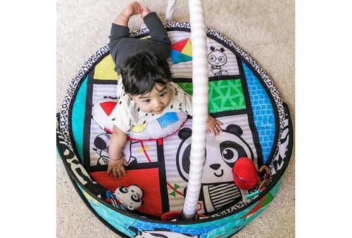 DUMEL 113985 Baby Einstein Mata na Arena.pl