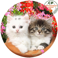 Opłatek na tort Koty