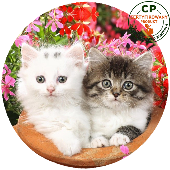 Opłatek na tort Koty zdjęcie 1