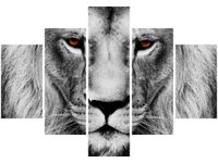 70 100CM OBRAZ 5 ELEM LWIE SPOJRZENIE DRUK PŁÓTNO