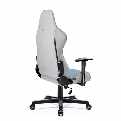 Fotel gamingowy Diablo Chairs X-Starter Niebieski na Arena.pl