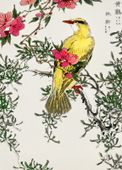 Plakat 13x18cm Chinese Bush-Warbler, Kashu Vintage do Salonu