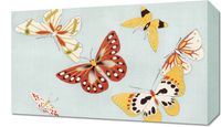 Obraz 50x30cm Butterfly, Sekka Japoński Vintage do Salonu