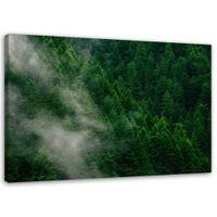 OBRAZ NA PŁÓTNIE Zielony Las we Mgle Natura