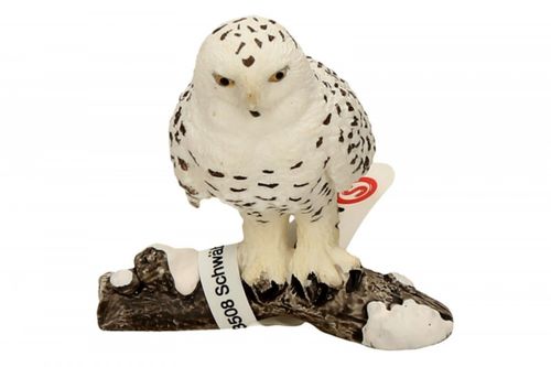 Schleich Sowa śnieżna na Arena.pl
