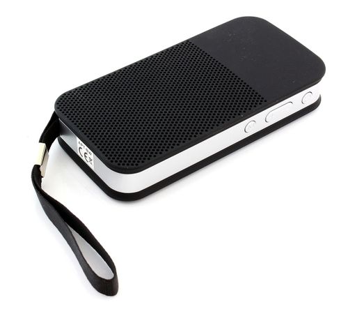 ZS31B Przenośny głośnik bluetooth na Arena.pl