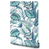 Tapeta W Rolce MONSTERA Egzotyczne Liście Rośliny