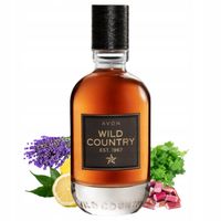 AVON WILD COUNTRY WODA TOALETOWA MESKA DLA MEZCZYZN ORYGINAL CODZIENNE