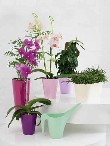 Osłonka do storczyków VULCANO Mięta na Arena.pl