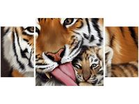 product-compare-58644177