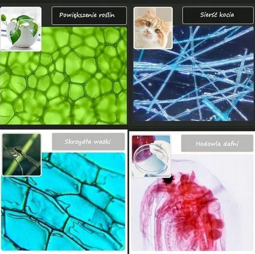 Mikroskop 60-180 DIGITAL Pro LED Zestaw Cyfrowy Edu Prezent dziecka Szkoła na Arena.pl