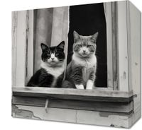 Obraz 30x30cm Para w Oknie