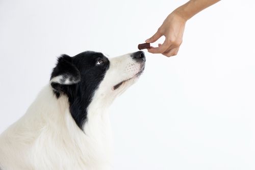Kiełbaski z wołowiny - Przysmaki dla psa 500g SNAPPY na Arena.pl