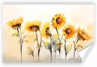 product-compare-62133627