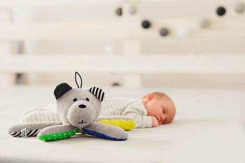 Whisbear Szumiący Miś - czerwień na Arena.pl