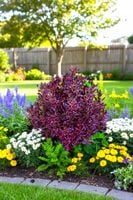 KOPROSMA ECLIPSE LUSTRZANY BLASK PURPURY