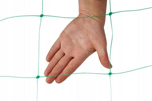 Siatka Podpora warzyw roślin pnących 2x10m 15x17cm AS-CN08151720010 na Arena.pl