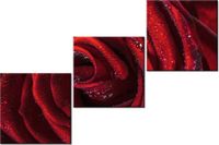 70 90CM OBRAZ 3 ELEM BORDOWA RÓŻA ŚCIENNY DRUK PŁÓTNO