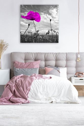 Obraz na płótnie - Canvas, Fioletowy mak 40x40 na Arena.pl