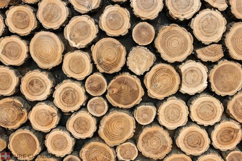 PODCHLORYN SODU 15% CHLOR W PŁYNIE DO WODY DO DREWNA 5L na Arena.pl