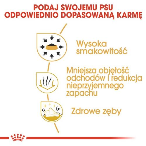 Karma sucha dla dorosłych psów chihuahua - Royal Canin HIGIENA ZĘBÓW 0,5kg na Arena.pl